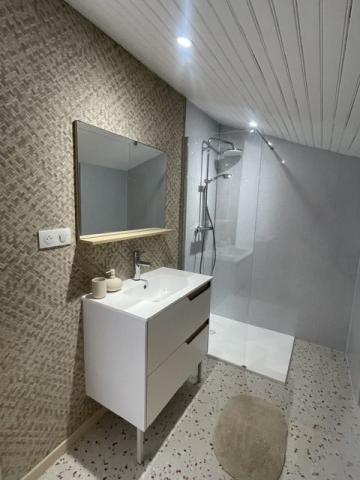location Maison 7 pièces Tournefeuille 6