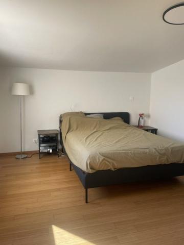 location Maison 6 pièces Toulouse 7