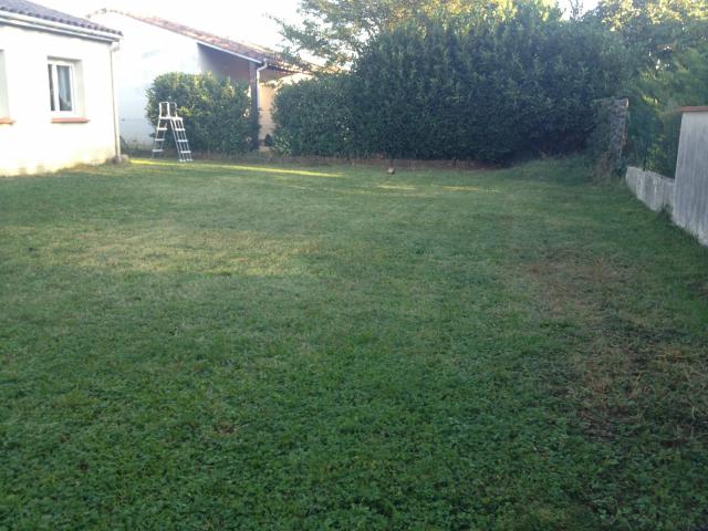 location Maison 4 pièces Toulouse 8