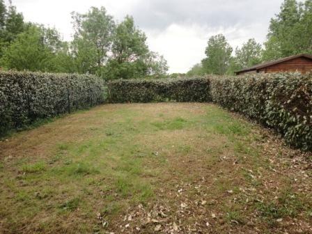 location Maison 4 pièces Plaisance-Du-Touch 5