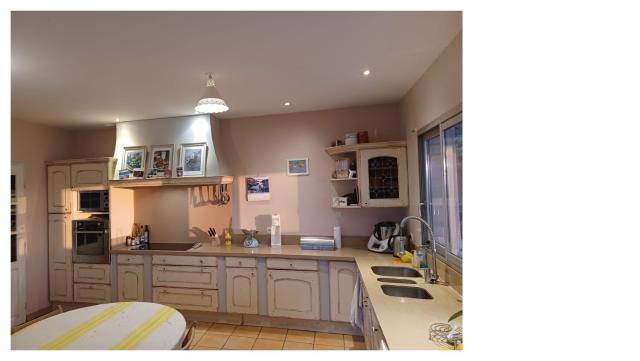 location Maison 9 pièces Pibrac 19